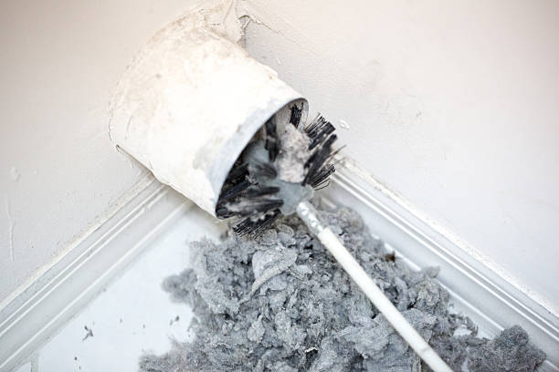 Best Ductwork Cleaning Services  in St Clair Shores, MI